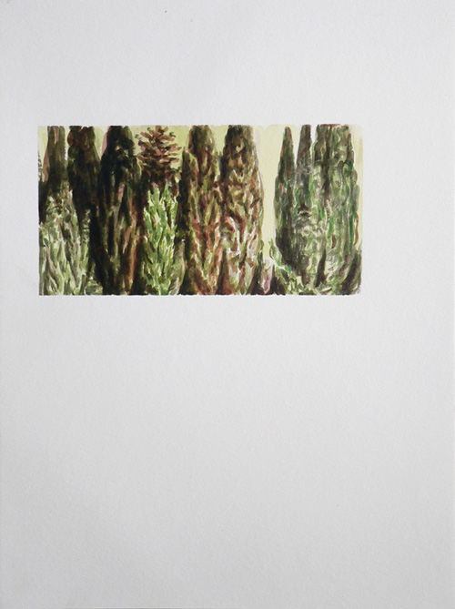 Image 17