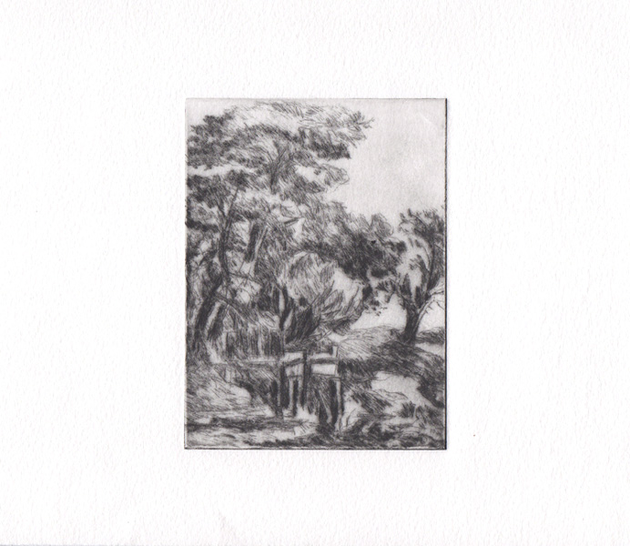 Image 14